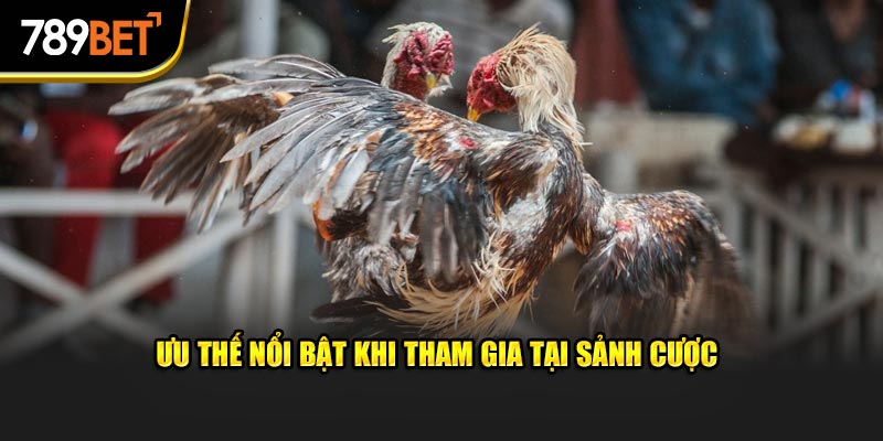 Ưu thế nổi bật khi tham gia tại sảnh cược